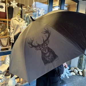 Parapluie CERF